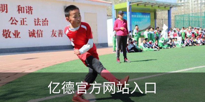 了解亿德官方网站入口
